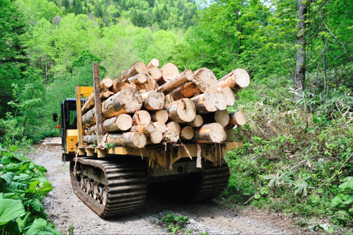林業で使う木材運搬用のトラックや中古車の価格を紹介！