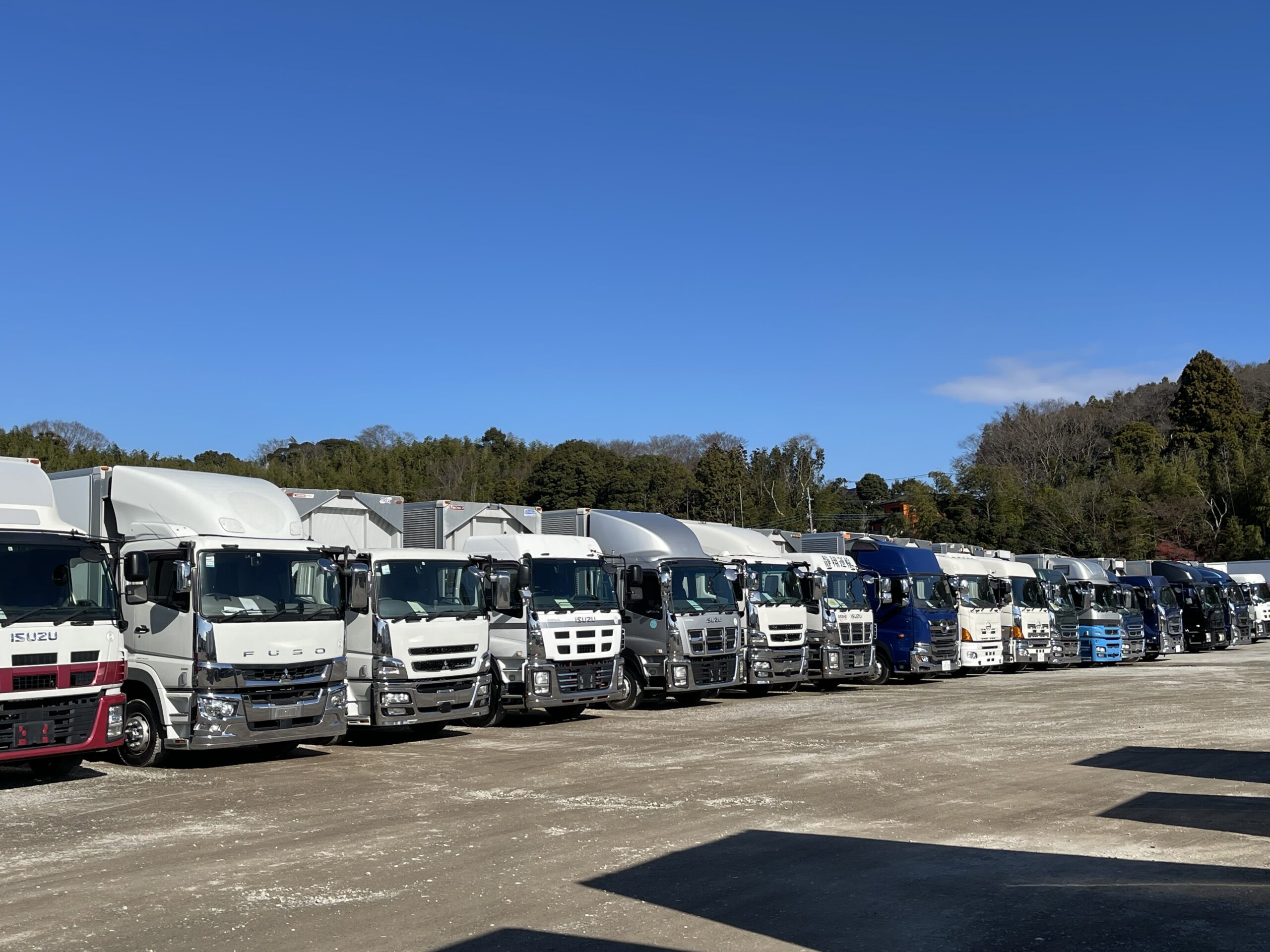 白ナンバーのトラックとは？緑ナンバーとの違いやメリットについて