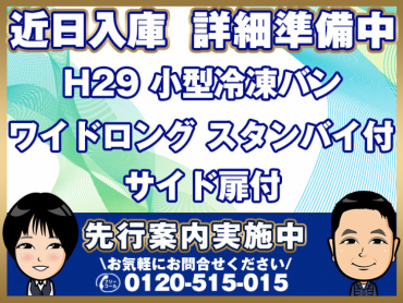 いすゞ エルフ 冷凍バン 小型 TPG-NPR85AN 年式 H29
