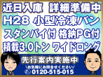 いすゞ エルフ 冷凍バン 小型 TPG-NPR85AN 年式 H28