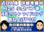 いすゞ エルフ バン車 小型 TKG-NPR85AN 年式 H25