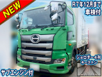 日野 プロフィア 冷凍バン 大型 2DG-FR1AHG 年式 H29