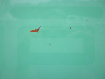 いすゞ エルフ パッカー 小型 TPG-NMR85AN 年式 H28 [写真09]