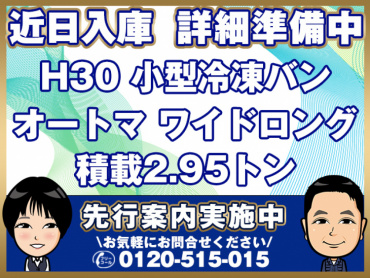いすゞ エルフ 冷凍バン 小型 TPG-NPR85AN 年式 H30