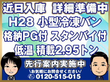 いすゞ エルフ 冷凍バン 小型 TPG-NPR85AN 年式 H28