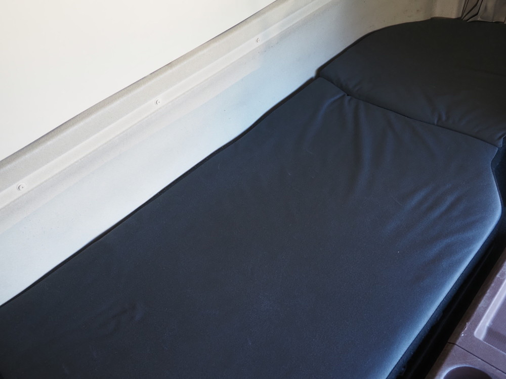 日野 プロフィア ウイング車 大型 2DG-FW1AHG 年式 R1[写真39]