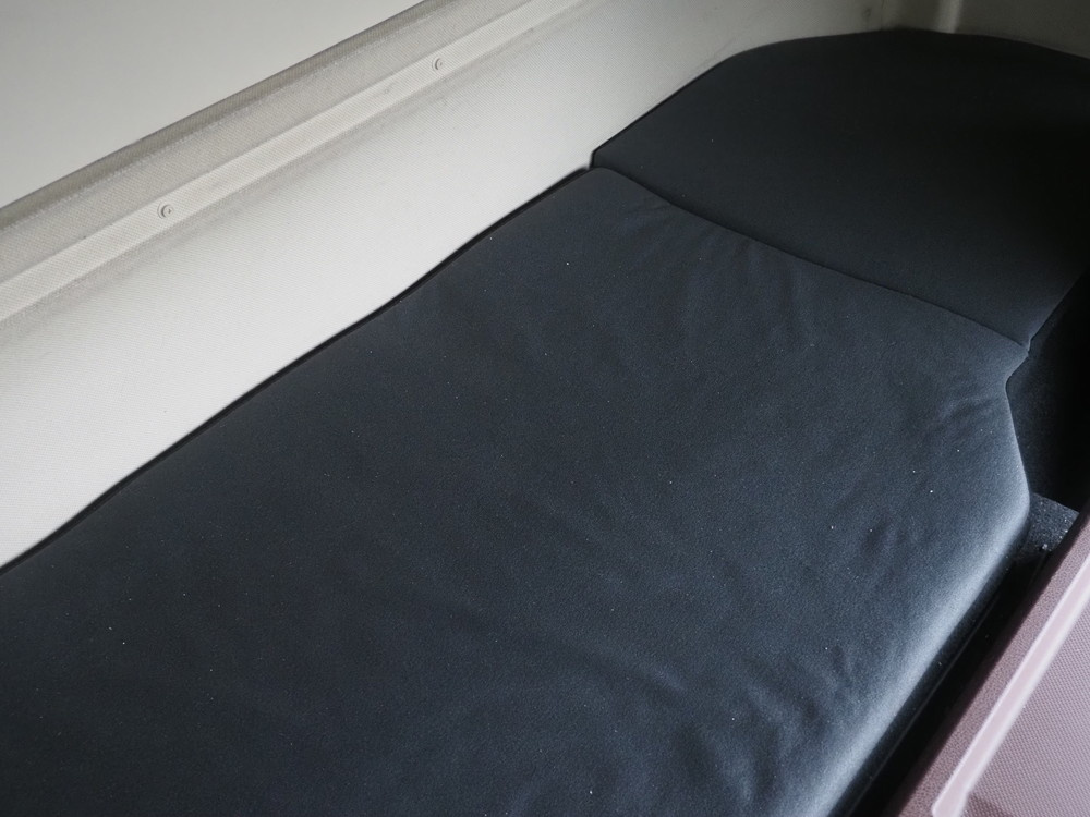 日野 プロフィア ウイング車 大型 2DG-FW1AHG 年式 H30[写真36]