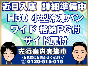 いすゞ エルフ 冷凍バン 小型 TPG-NPR85AN 年式 H30
