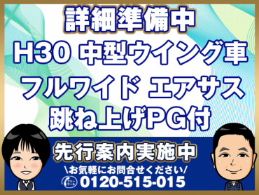 三菱ファイターウイング中型2KG-FK64F年式H30