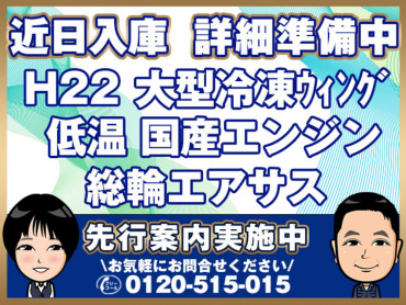 三菱 スーパーグレート 冷凍ウイング 大型 BDG-FS55JZ 年式 H22