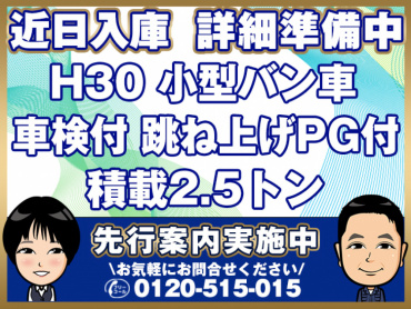 いすゞエルフバン小型TRG-NMR85AN年式H30