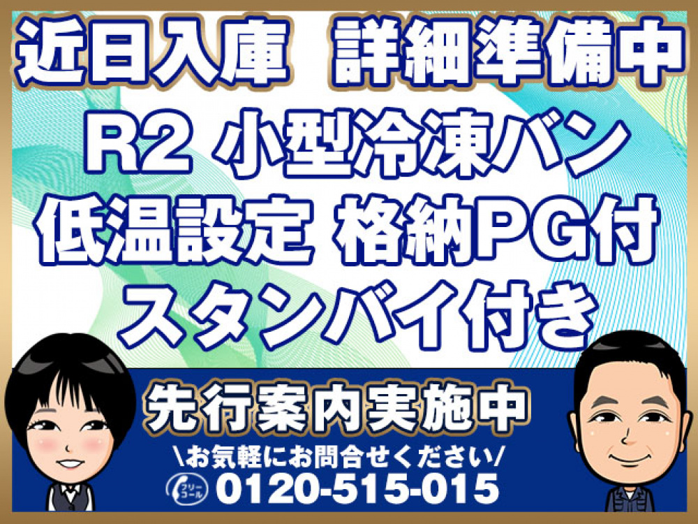 いすゞ エルフ 冷凍バン 小型 TPG-NMR85AN 年式 H28[写真01]