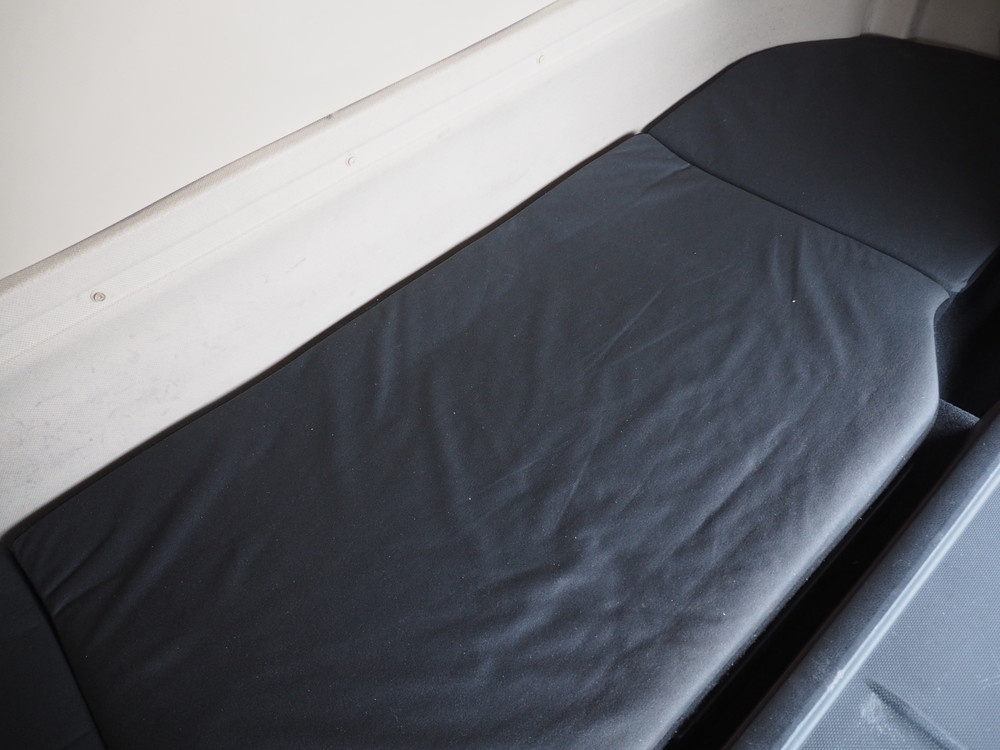 日野 プロフィア 冷凍バン 大型 2DG-FW1AHJ 年式 R1[写真32]