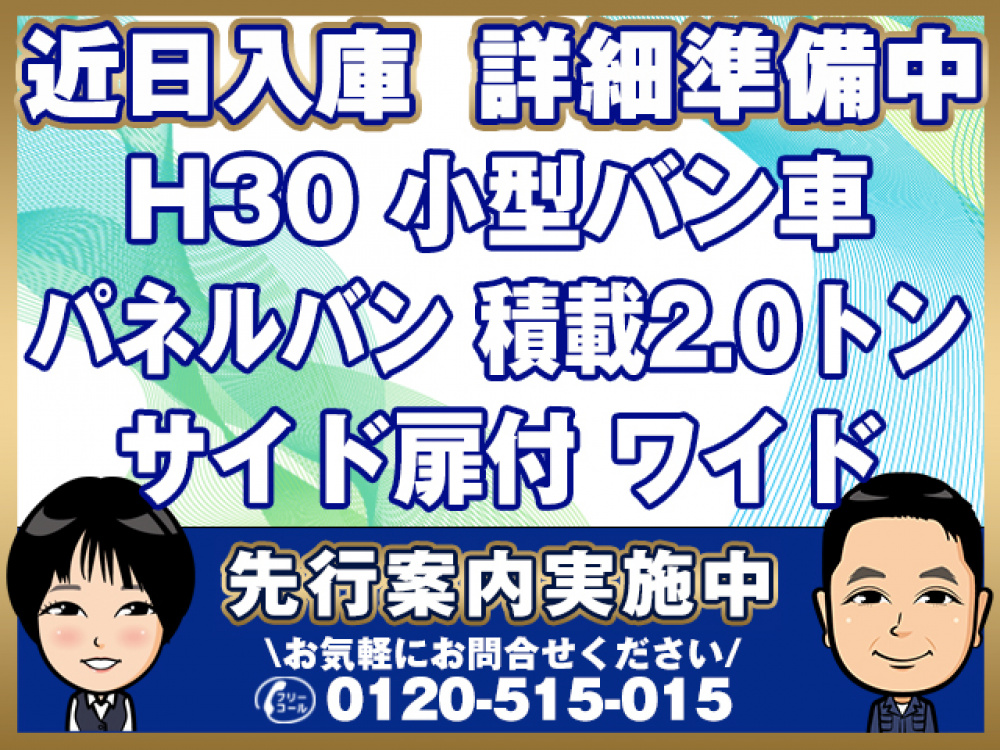 いすゞ エルフ バン車 小型 TRG-NPR85AN 年式 H30[写真01]