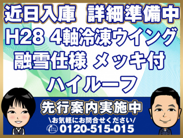 三菱スーパーグレート冷凍ウイング大型QPG-FS64VZ年式H28