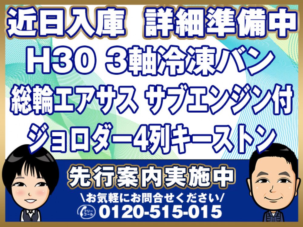 日野 プロフィア 冷凍バン 大型 QPG-FR1EXEJ 年式 H30[写真01]