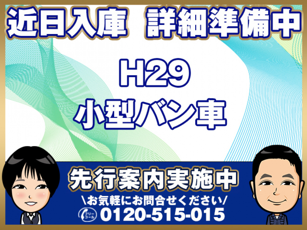 いすゞ エルフ バン車 小型 TPG-NPR85YN 年式 H29[写真01]