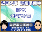 いすゞ エルフ バン車 小型 TPG-NPR85YN 年式 H29