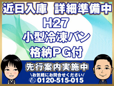 いすゞエルフ冷凍バン小型TPG-NPR85AN年式H27