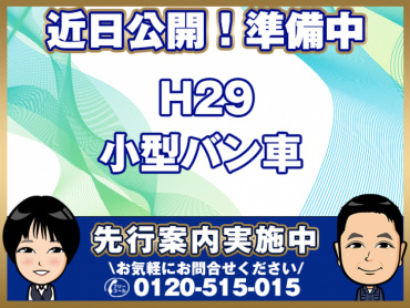 いすゞエルフバン小型TPG-NPR85YN年式H29