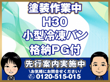 いすゞエルフ冷凍バン小型TPG-NPR85AN年式H30