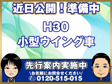 三菱キャンターウイング小型TPG-FEB50年式H30